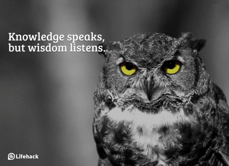 Какви са разликите между знанието, мъдростта и прозрението?