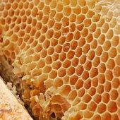 l'immagine che rappresenta il miele aiuta a ridurre i sintomi del basso livello di testosterone