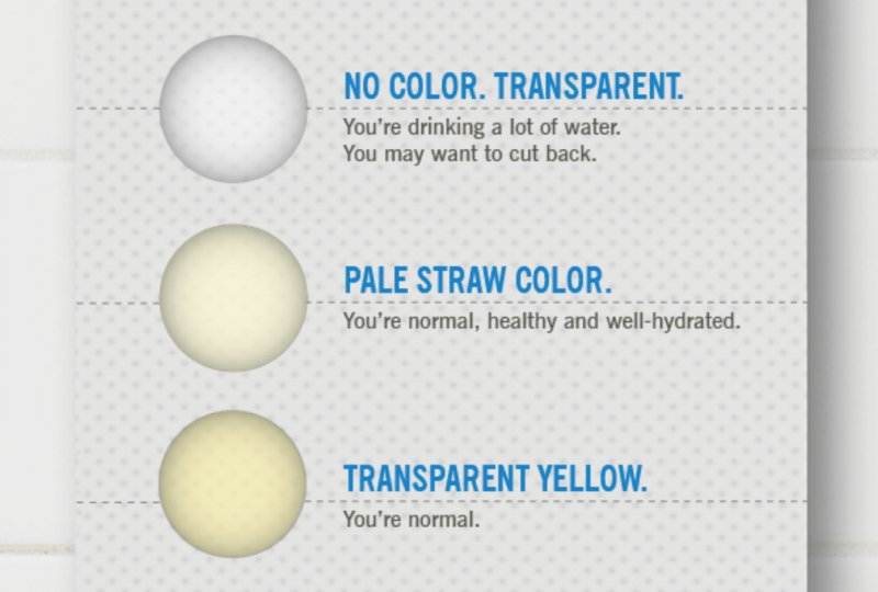 尿の色をチェック！それはあなたの健康について多くを明らかにします