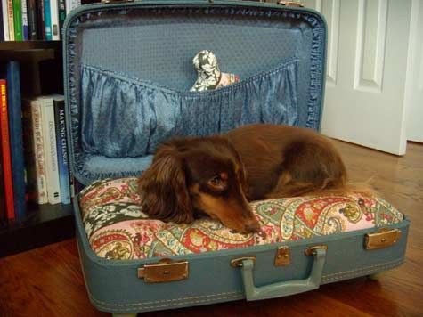 スーツケース犬用ベッド