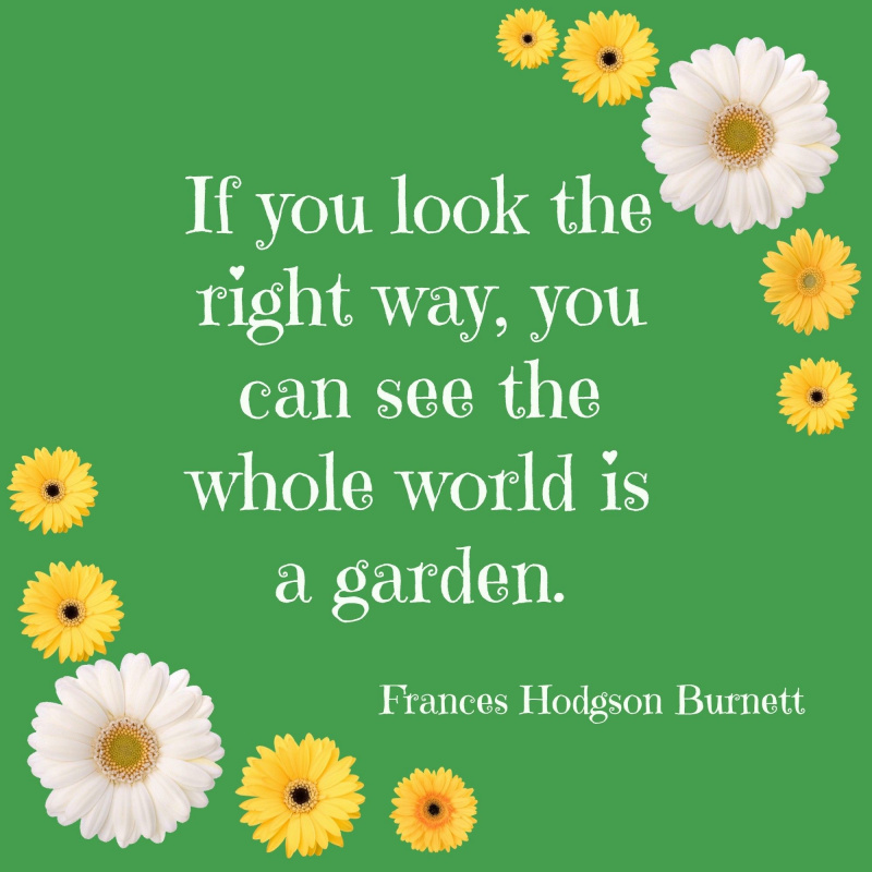 Ha jól nézel ki, láthatod, hogy az egész világ kert.